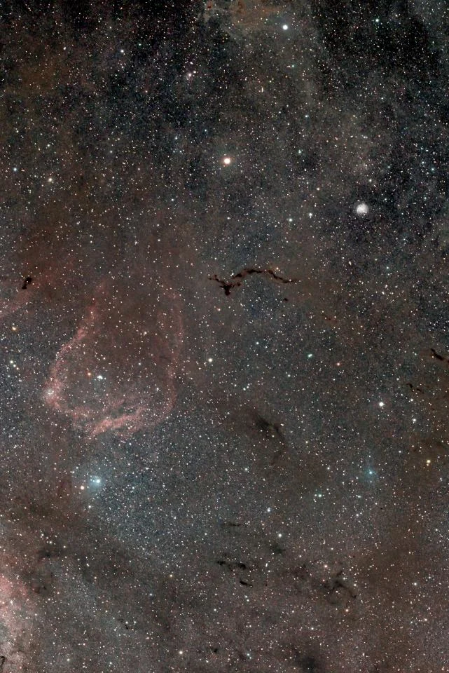 Giant Squid Nebula (SH2-129)