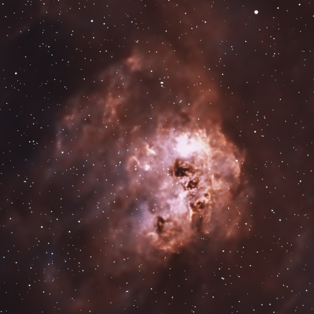 IC 410 · Tadpoles
