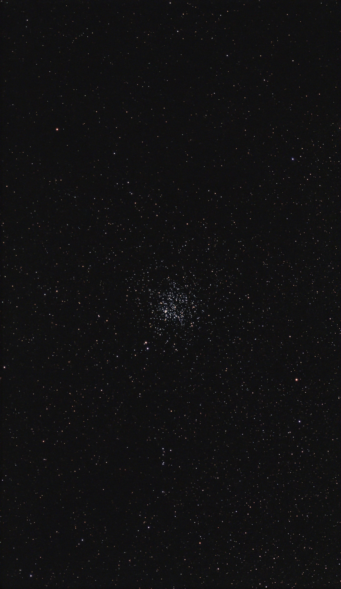 M11