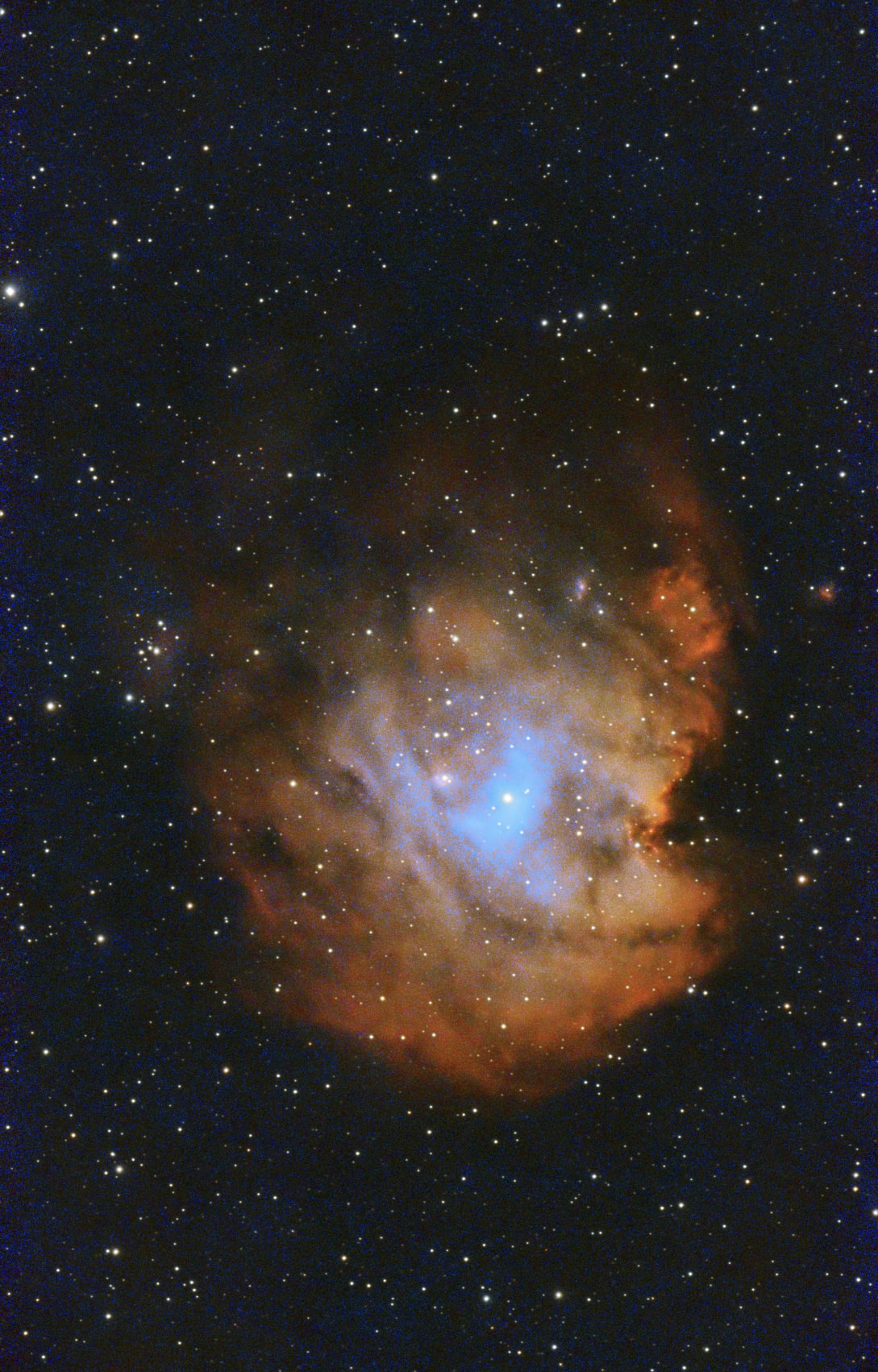 NGC 2174 · Monkey Head