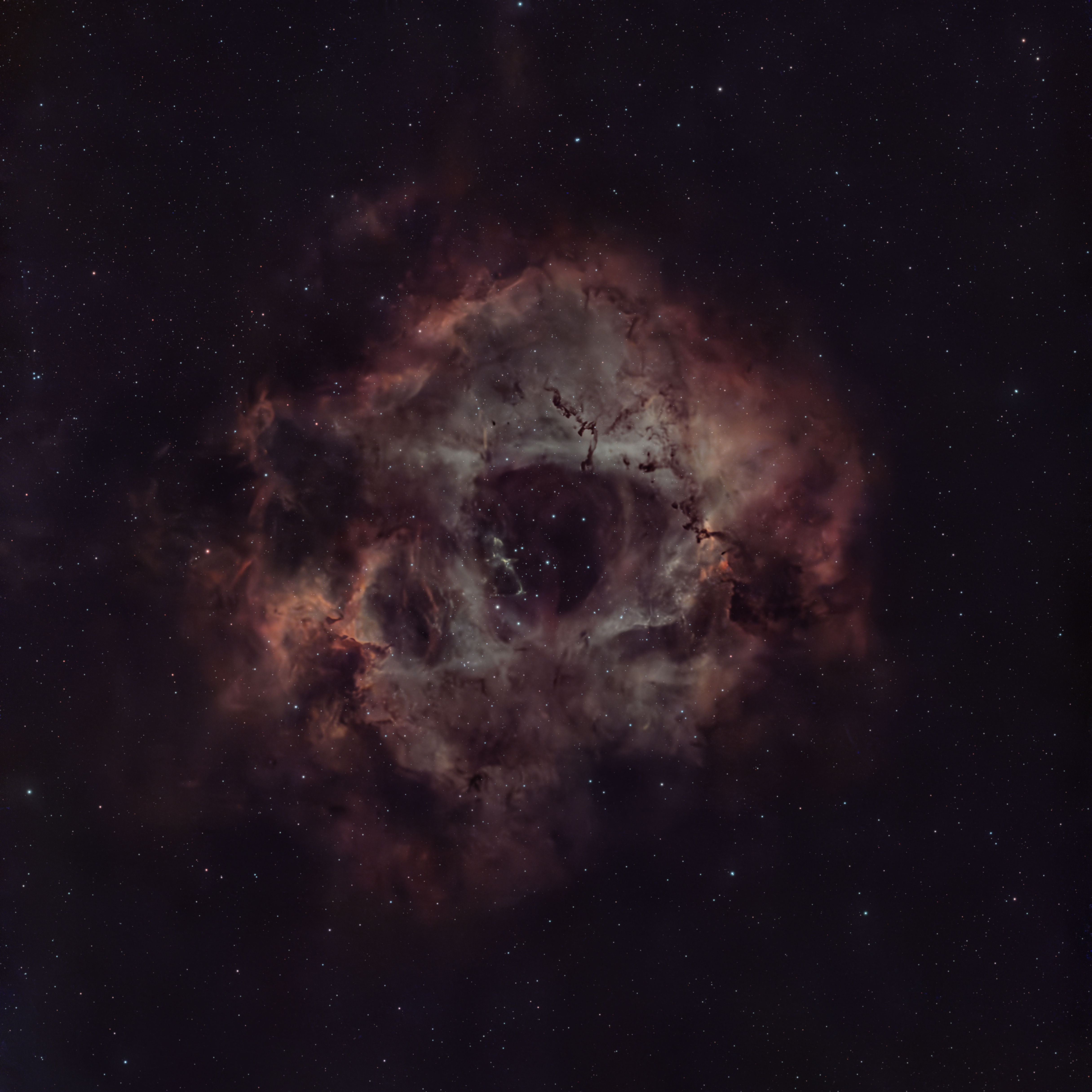 NGC 2237 · Rosette Nebula survey selection