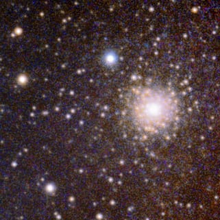 M80 detail crop preview