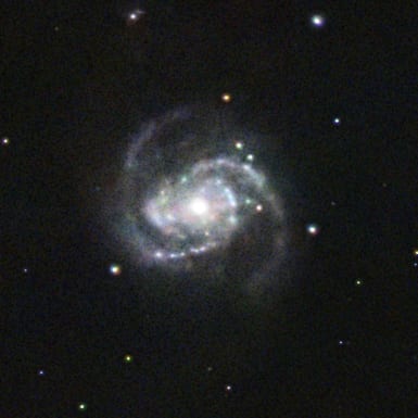 m100 detail crop preview