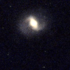 M91 detail crop preview