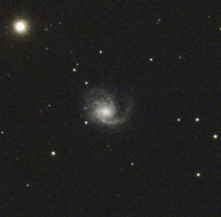 M99 detail crop preview