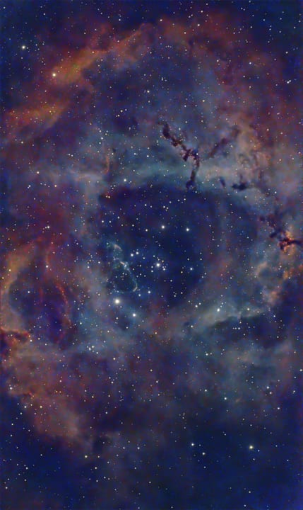 Rosette 34 mins preview