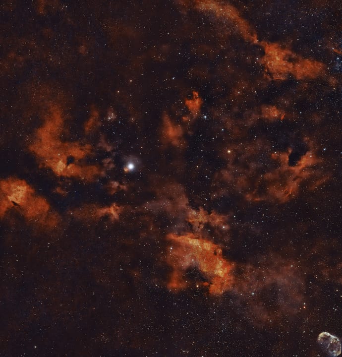 Sadr crop of Cygnus widefield preview