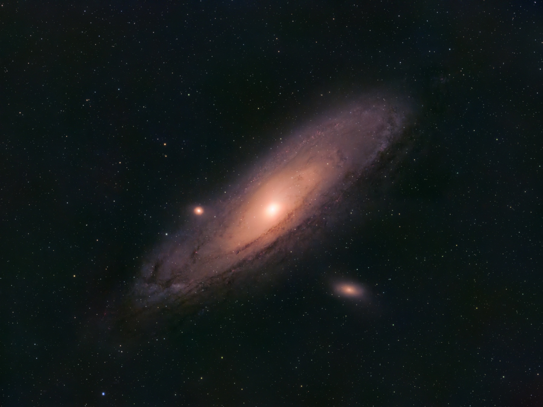 Processed wide-field view of the Andromeda Galaxy